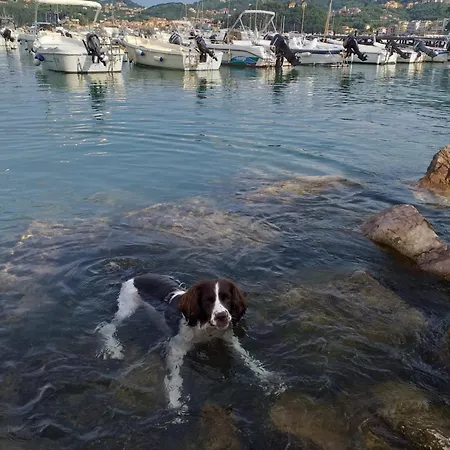 Casa A Nell'antico Borgo Nyaraló Lerici
