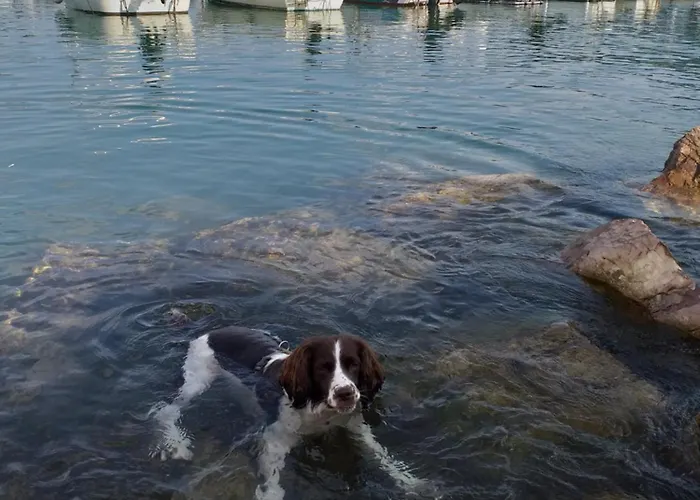 Casa A Nell'antico Borgo Сasa de vacaciones Lerici