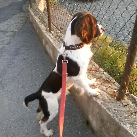 Casa A Nell'antico Borgo Σπίτι διακοπών Lerici